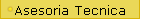 Asesoria Tecnica