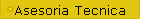 Asesoria Tecnica