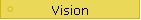 Vision