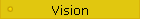 Vision